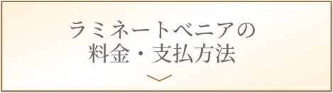 ラミネートべニアの料金・支払方法