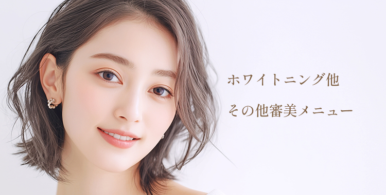 その他審美メニュー